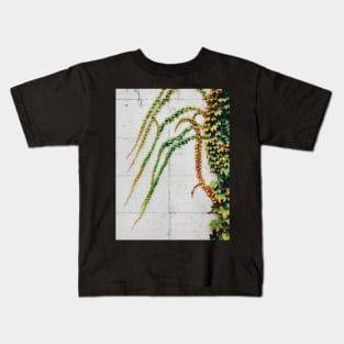 Green Ivy Growning on Grey Urban Concrete Wall Kids T-Shirt